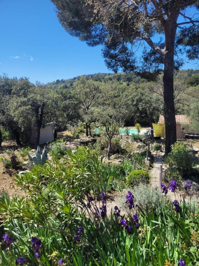 فيلا Bastide Cigaline لو بوزيت المظهر الخارجي الصورة